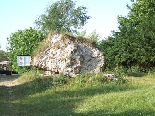 Zamek Kazimierza Wielkiego w Inowłodzu - przed rekonstrukcją 