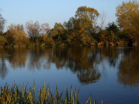 Między mostem kolejowym a ulicą Mireckiego