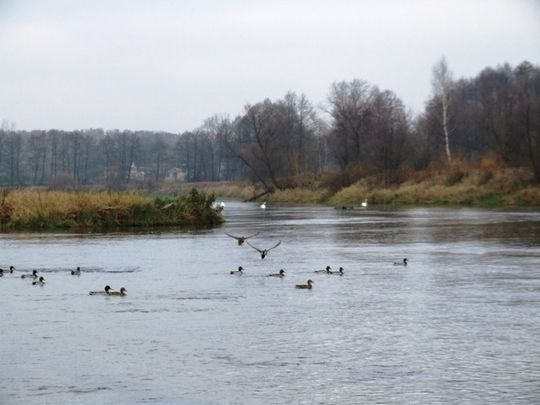 Między zaporą a Białą Góra