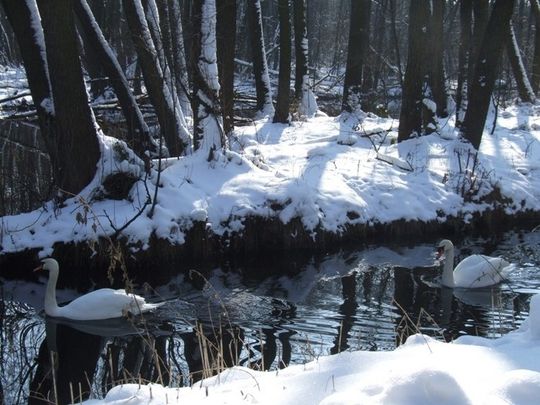 Na &amp;quot;Niebieskich źródłach&amp;quot; zimą